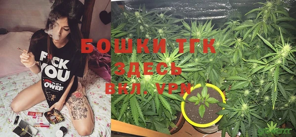 MESCALINE Гусев