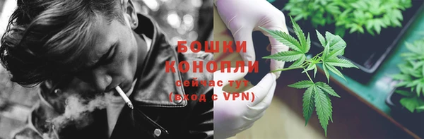 MESCALINE Гусев