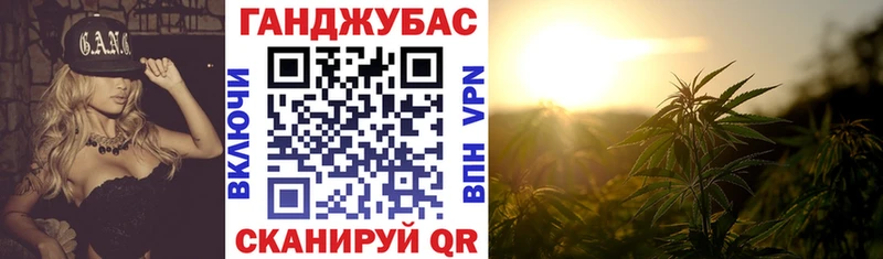 Бошки Шишки план  Купить  Нижний Ломов 